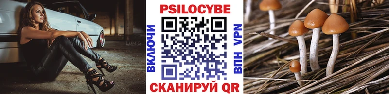 Псилоцибиновые грибы GOLDEN TEACHER  Красный Холм 